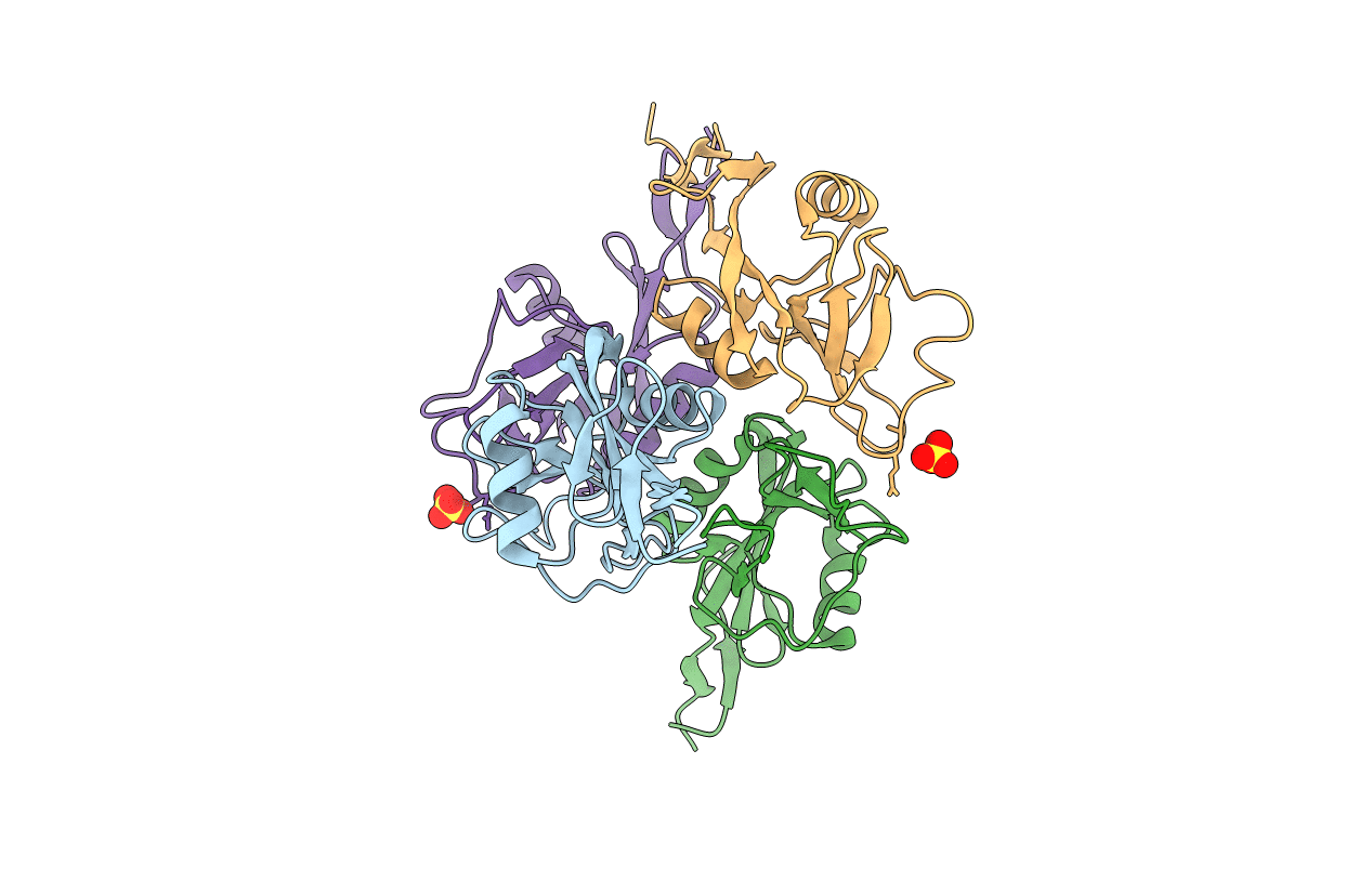 4J6J image