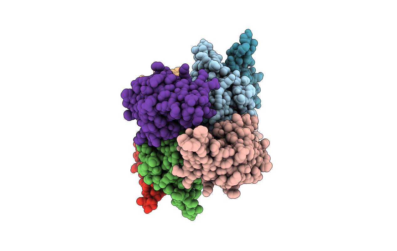 4J6L image
