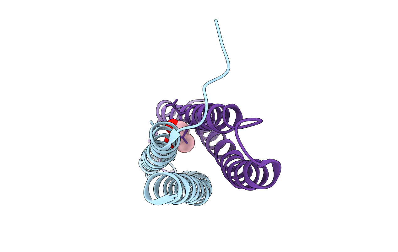 4J7J image