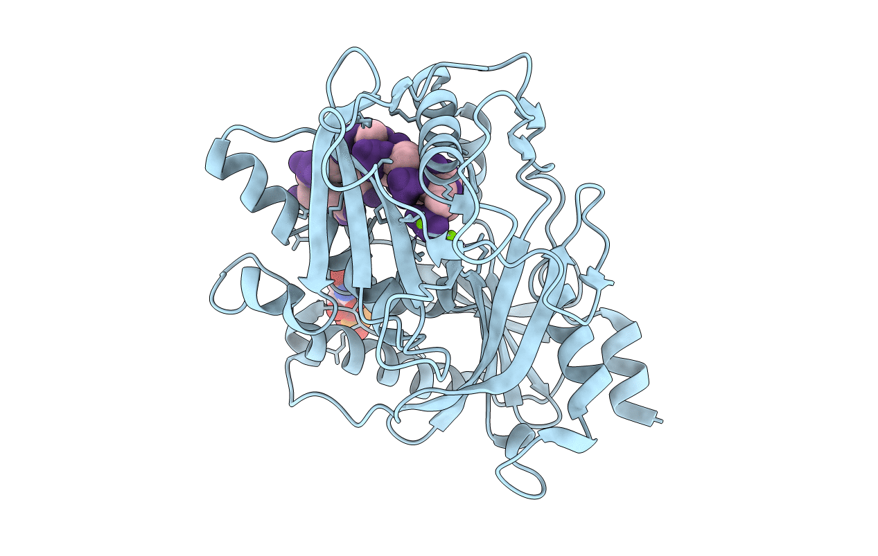 4J7L image