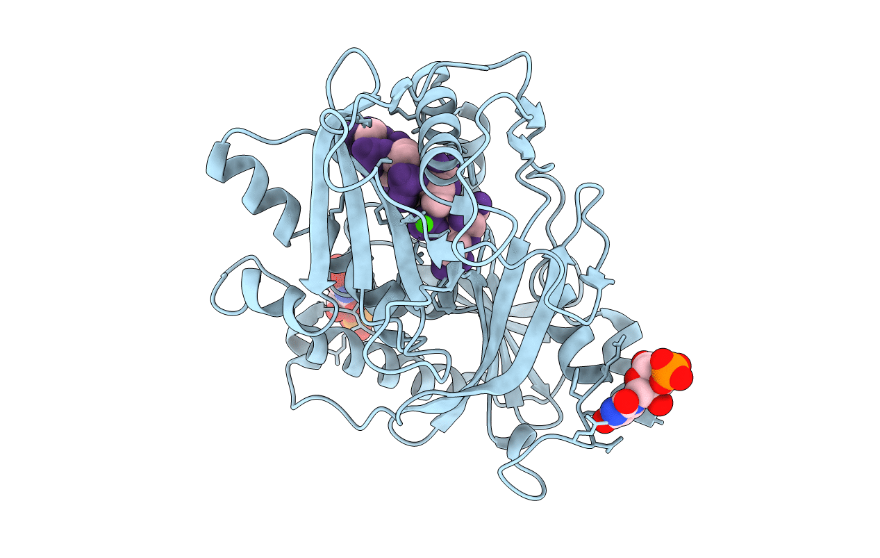 4J7M image
