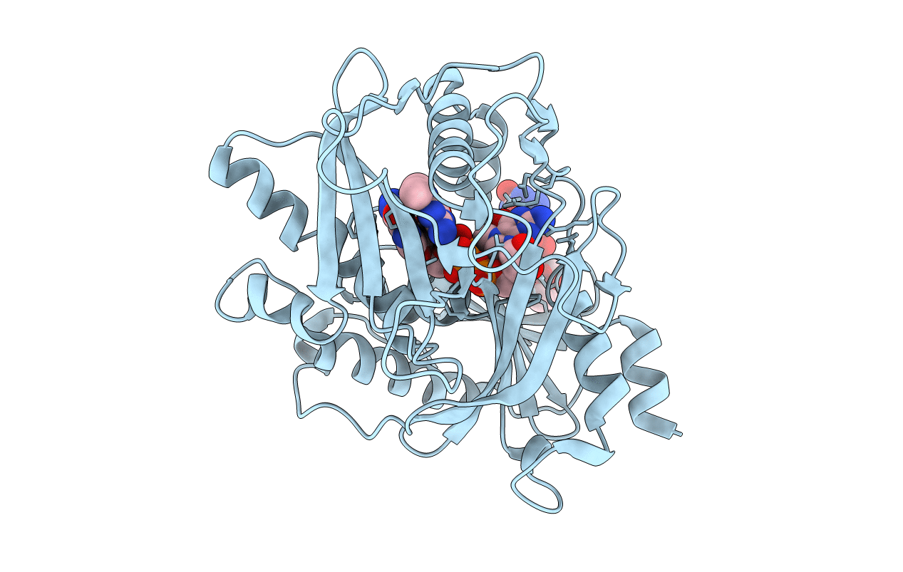 4J7N image