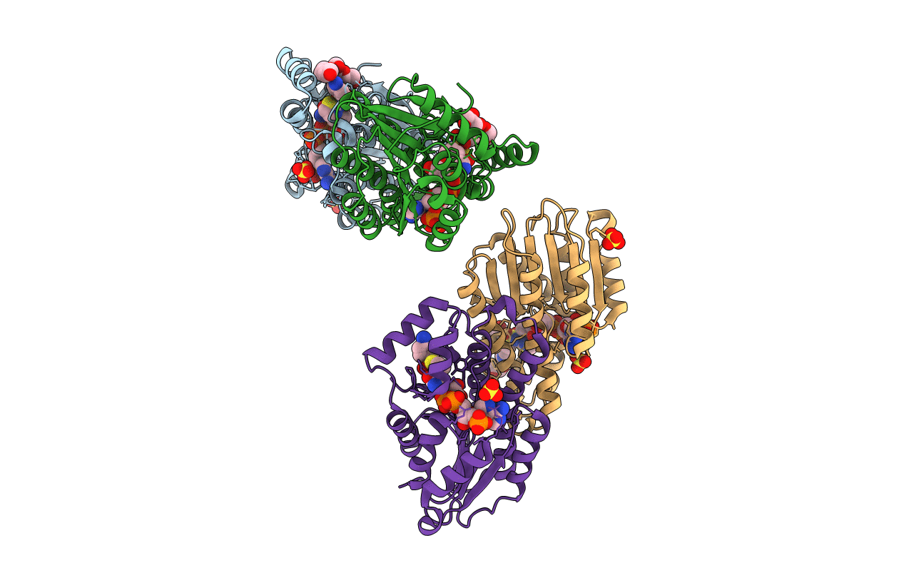 4J7U image