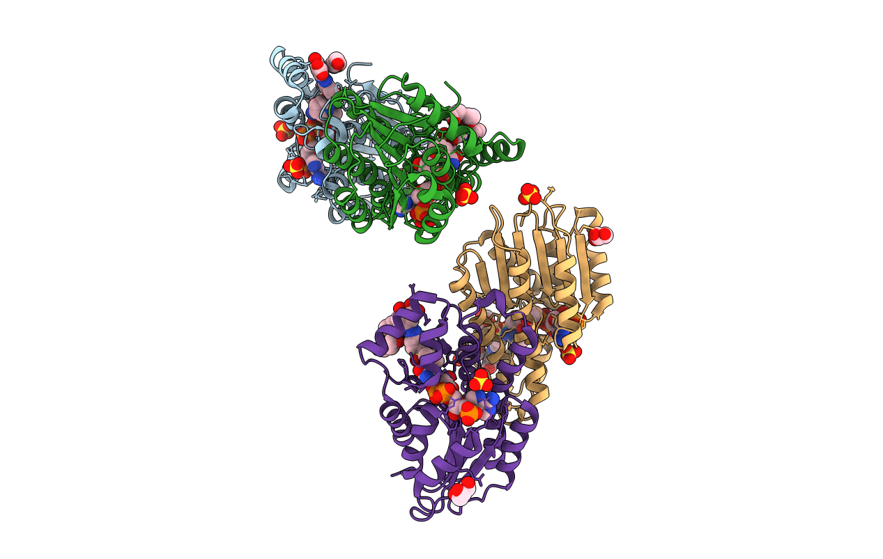 4J7X image