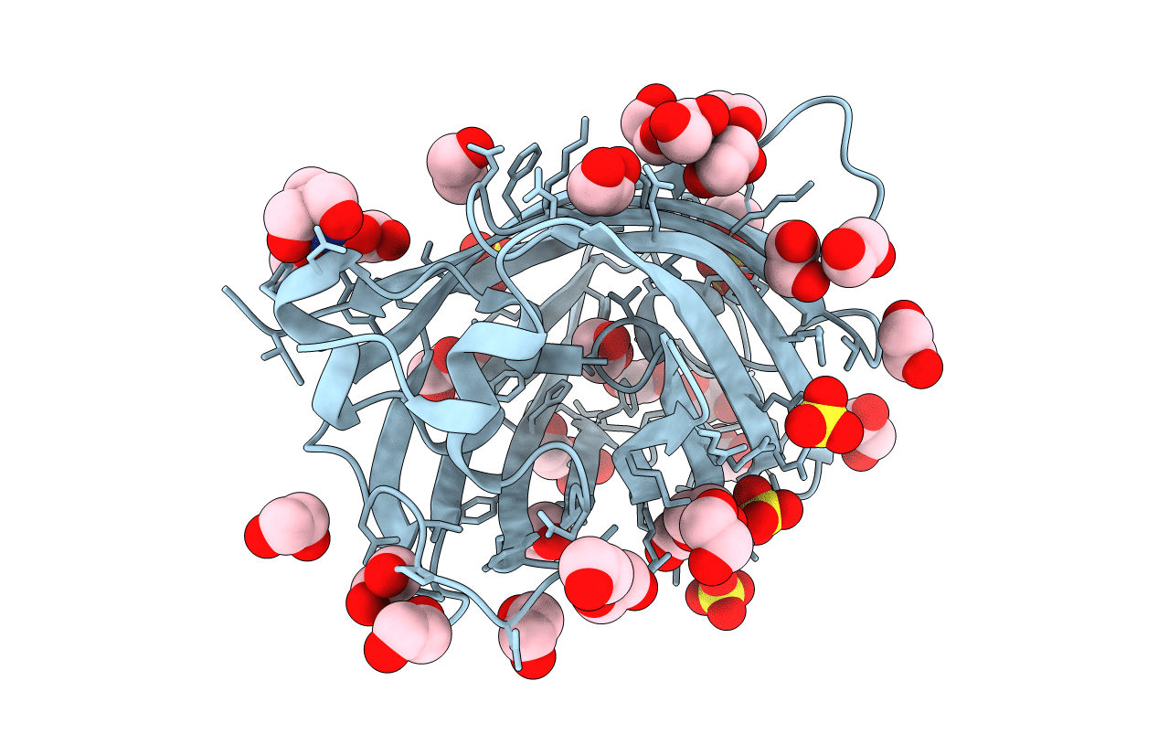 4J8A image