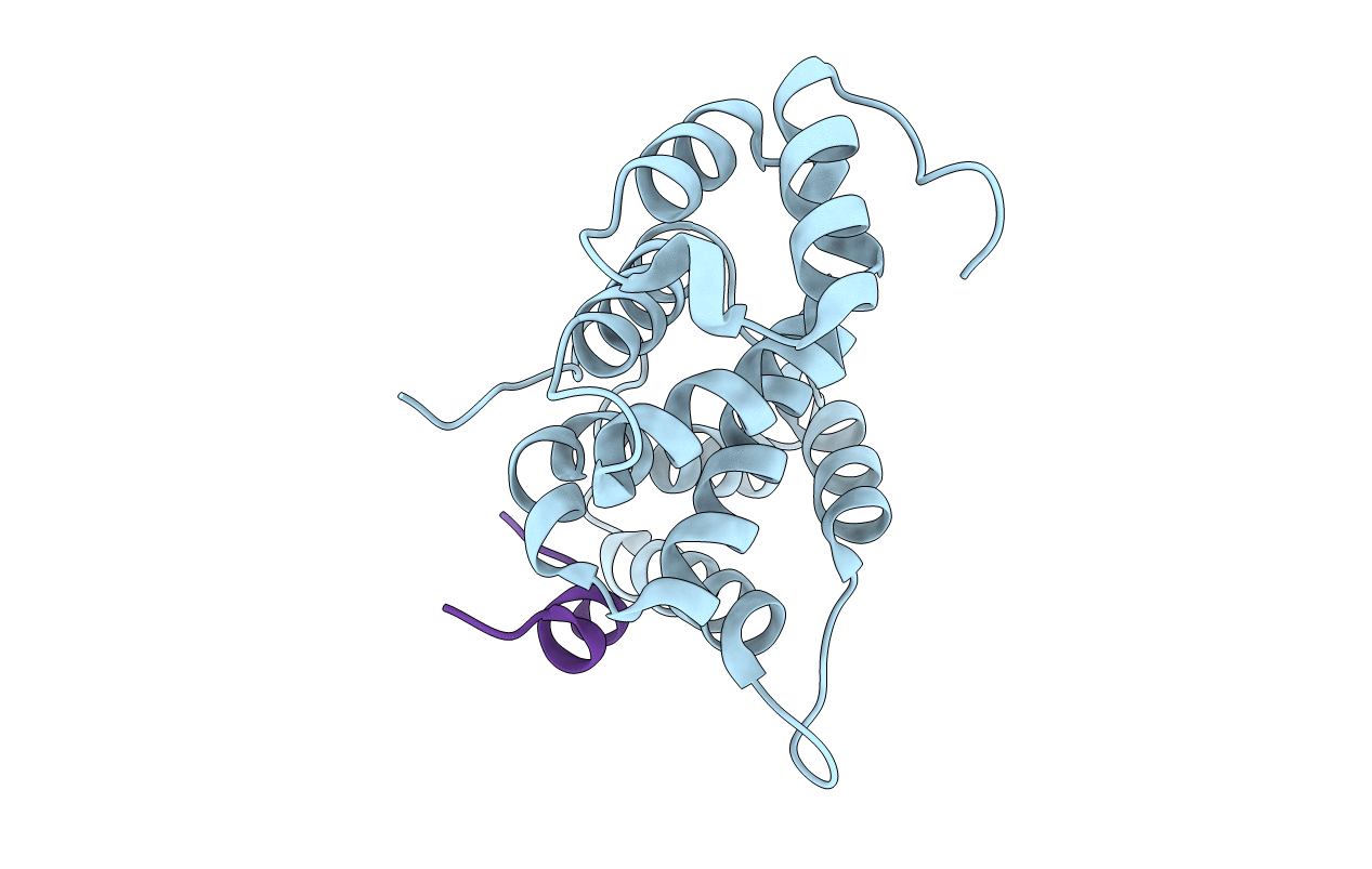 4J8S image