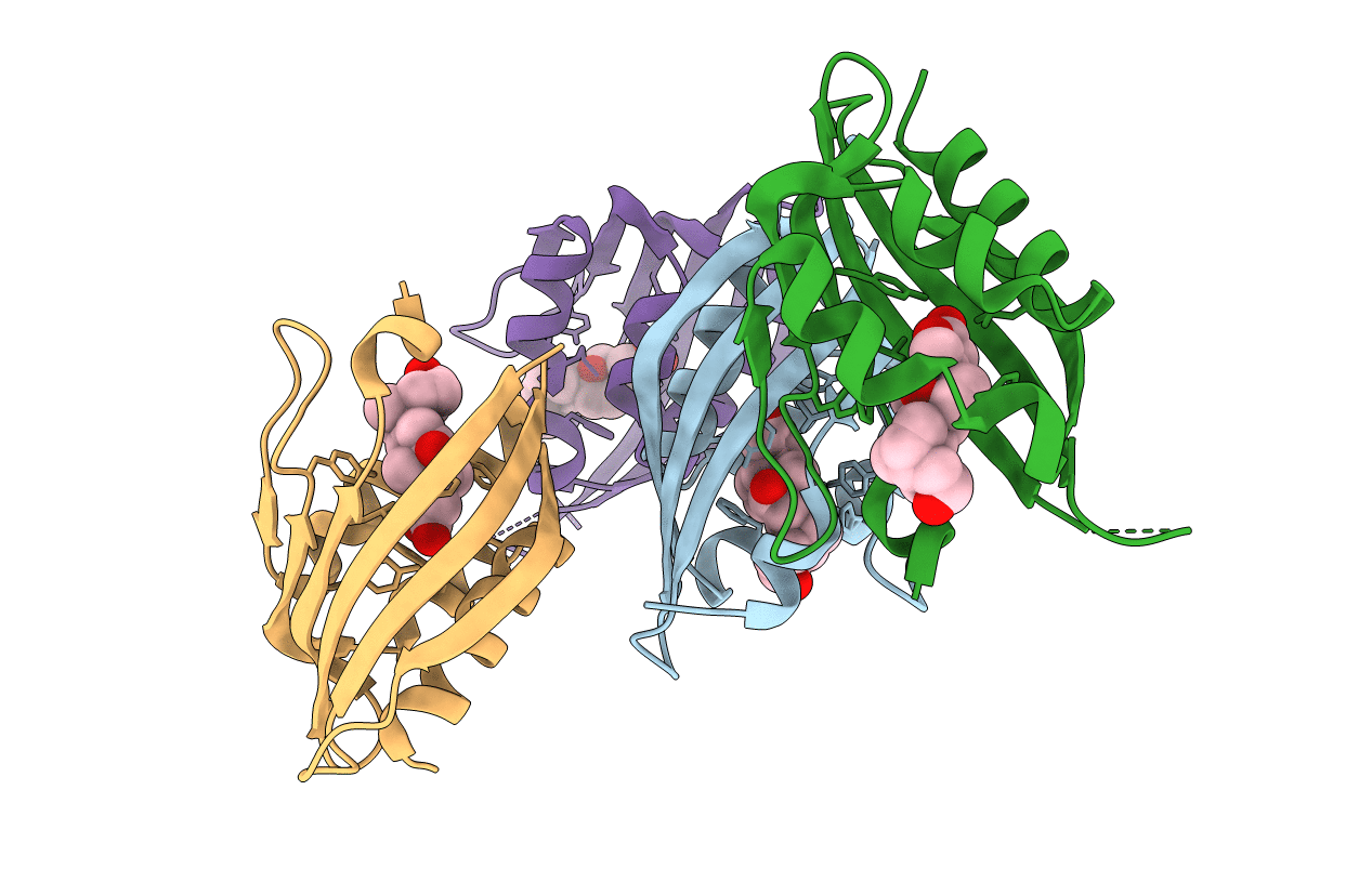 4J8T image