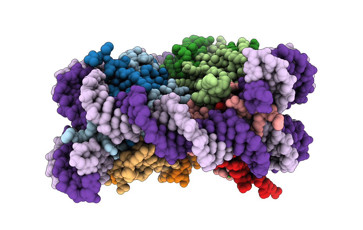 4J8V image