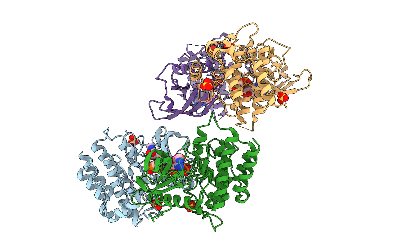 4J95 image
