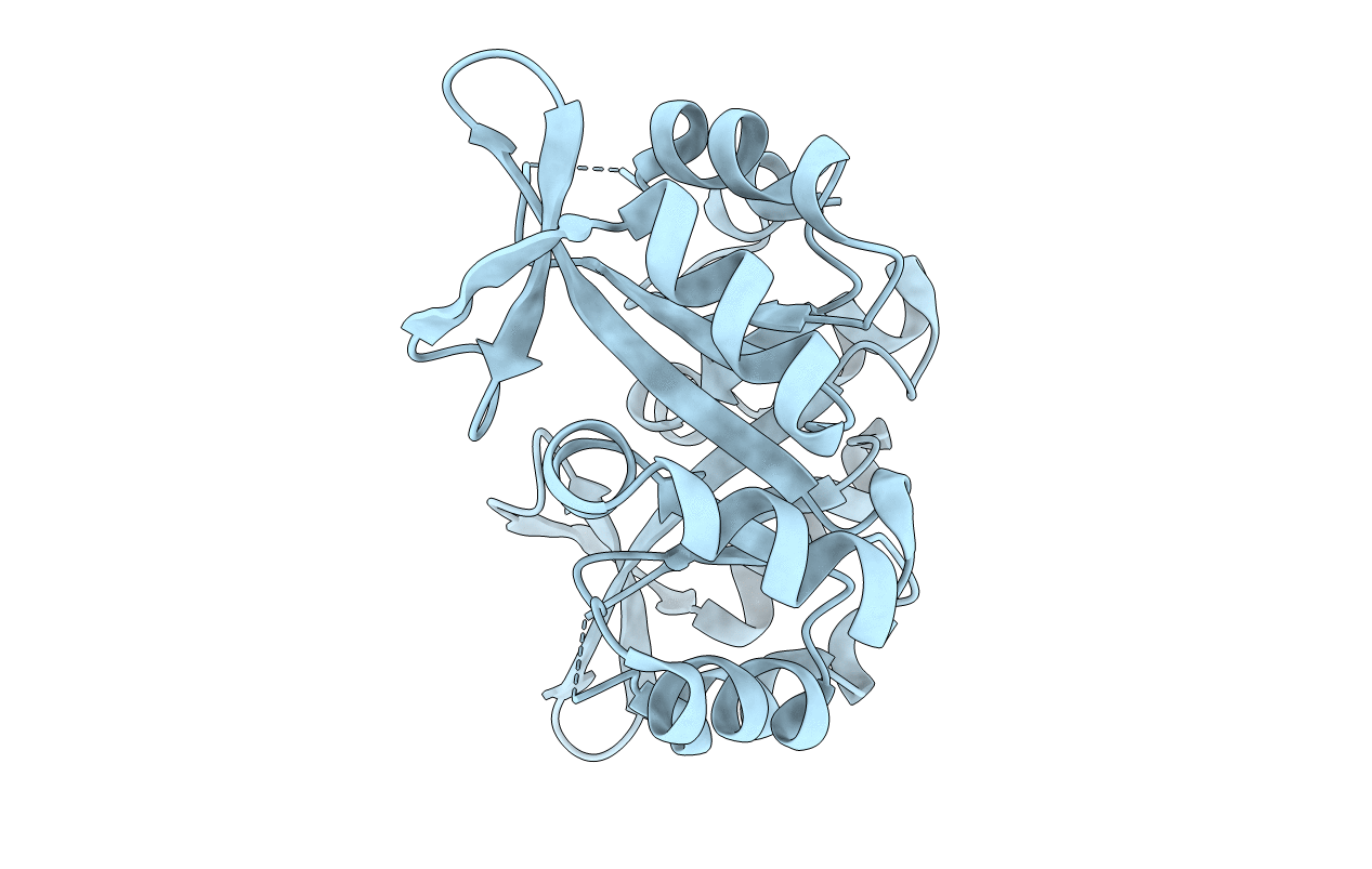 4J9J image