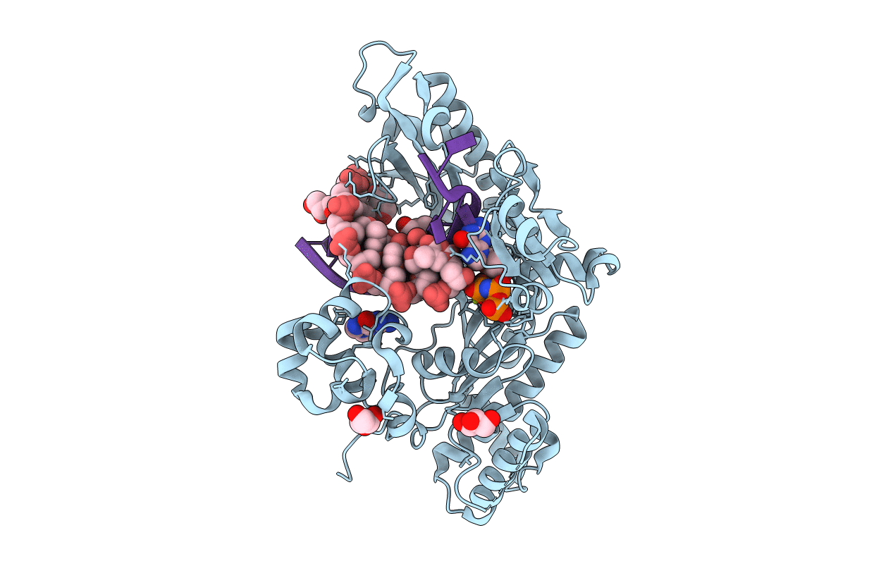 4J9K image