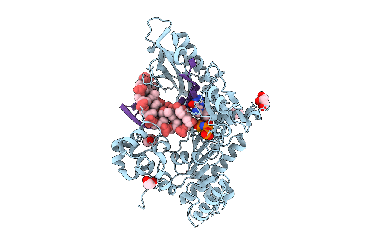 4J9L image