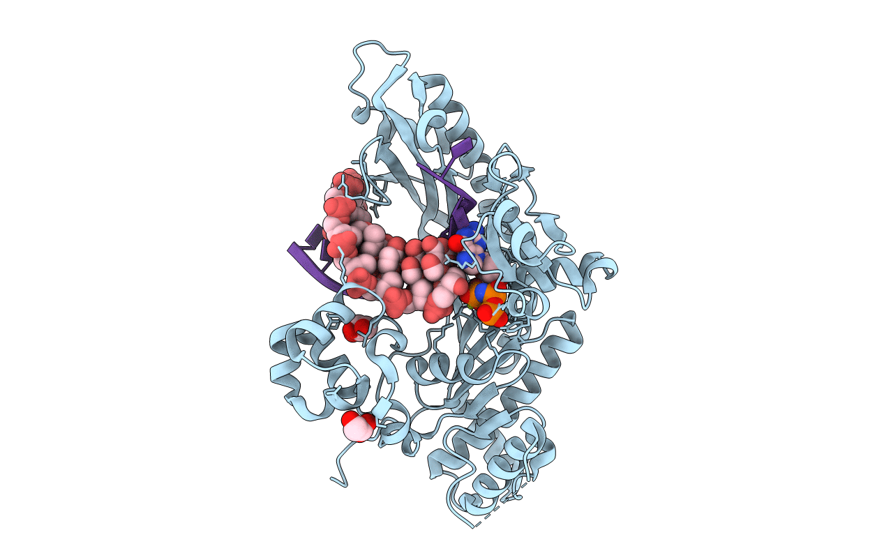 4J9N image