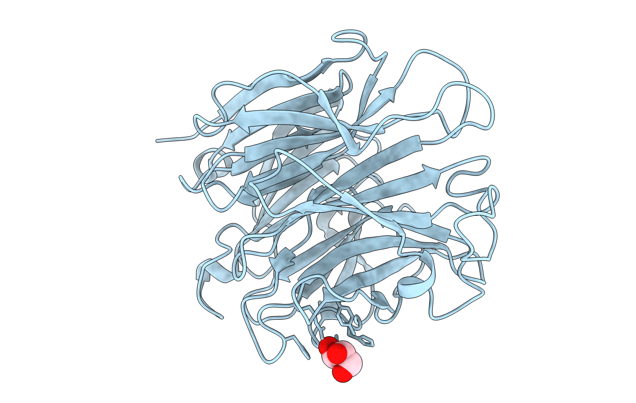 4J9T image