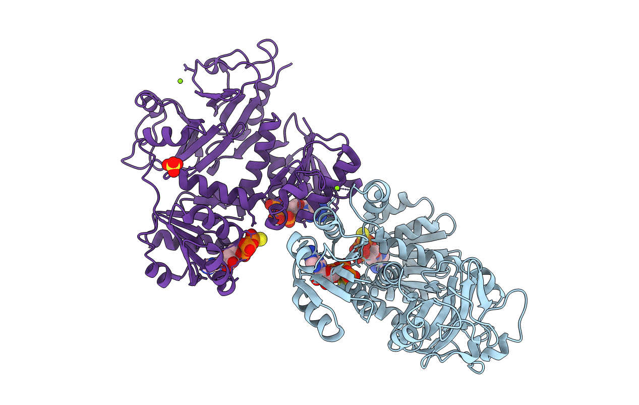 4J9V image