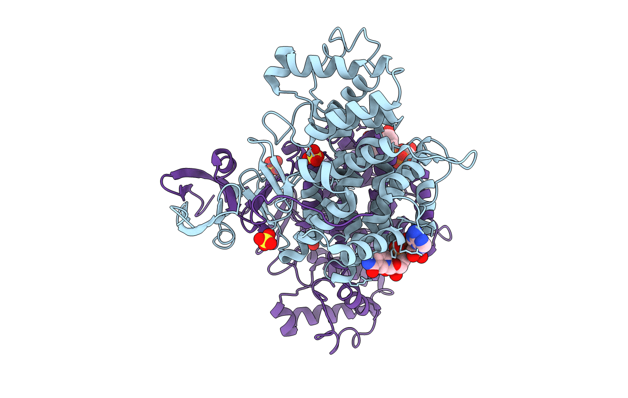 4JAF image