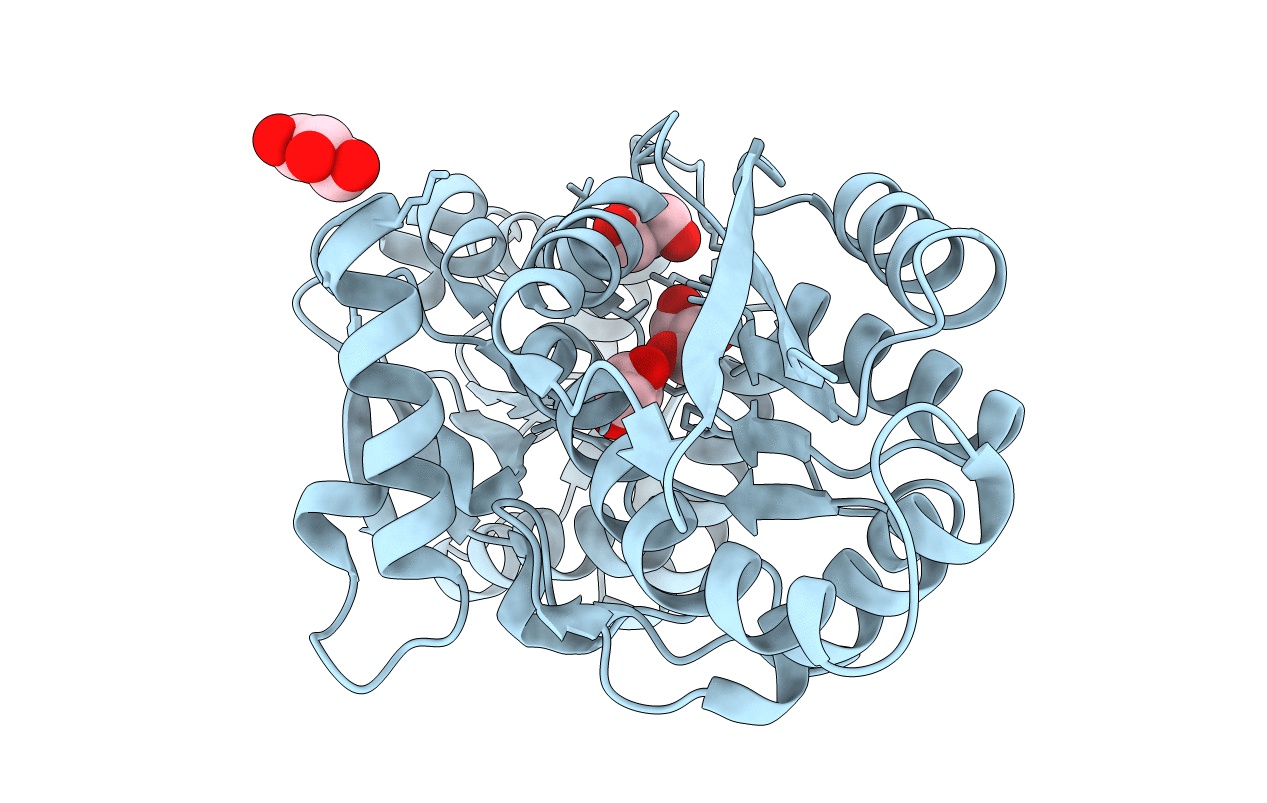 4JB2 image