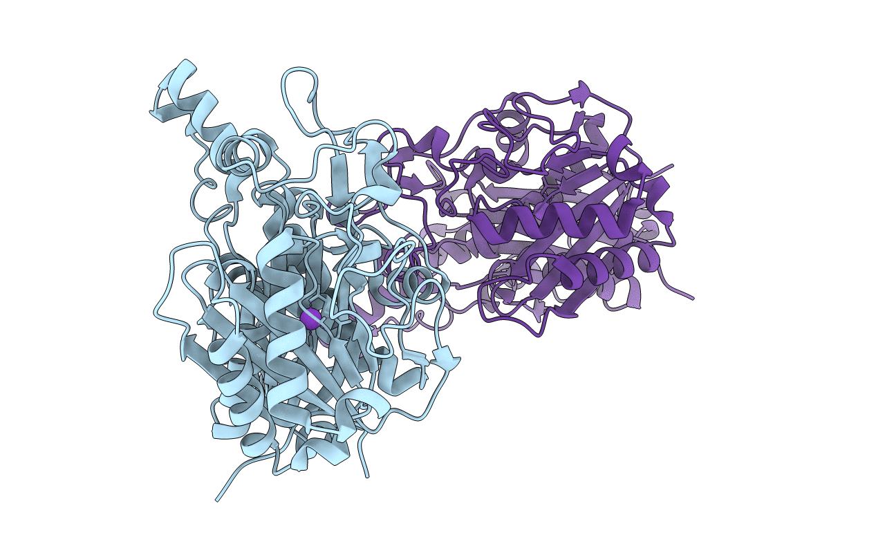 4JB6 image