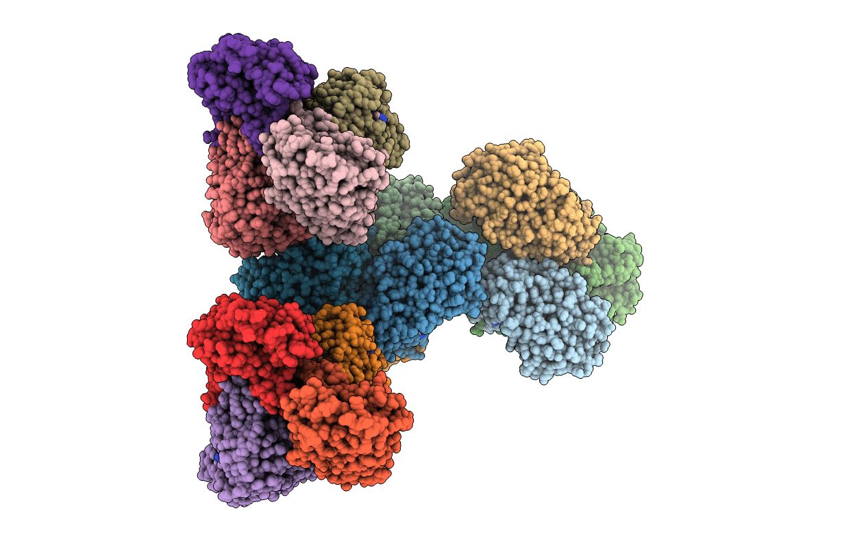 4JBI image