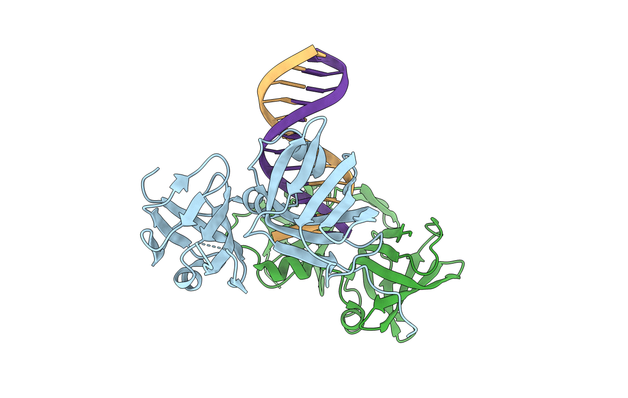 4JBM image