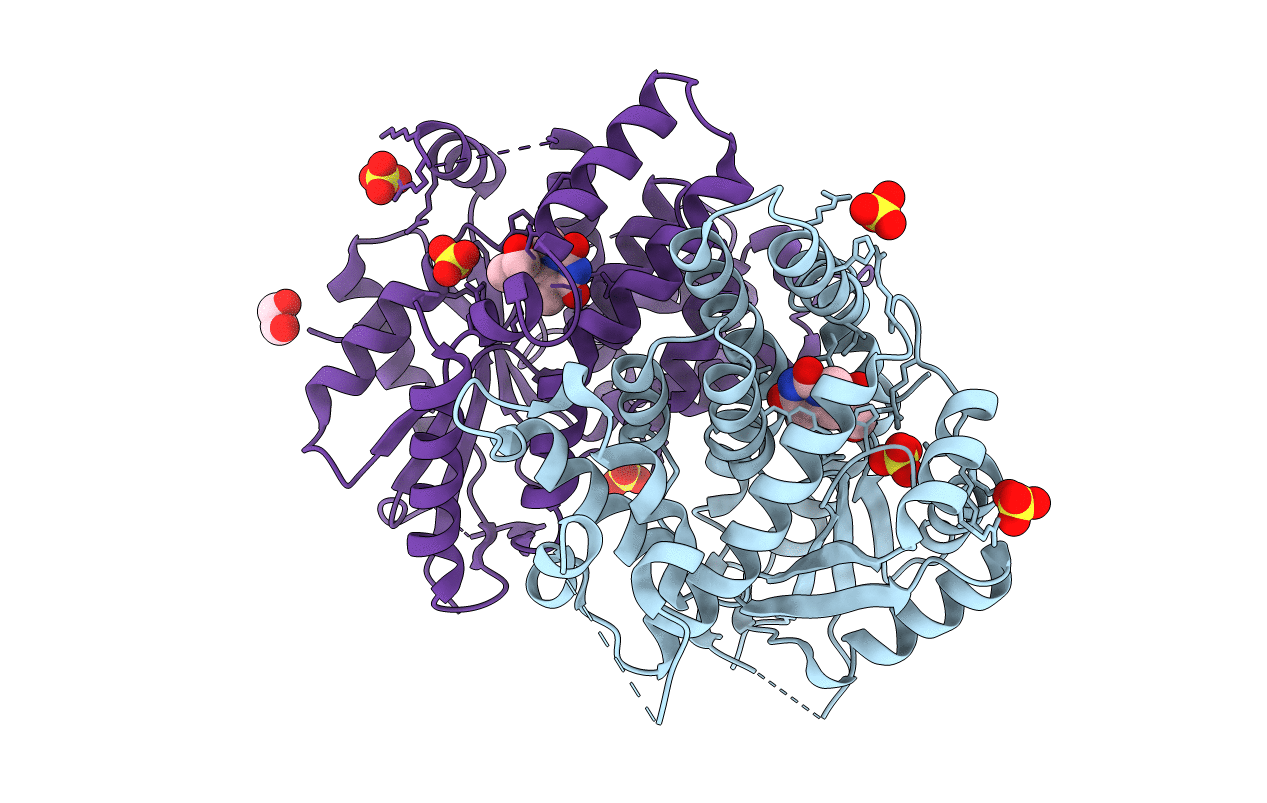 4JBX image