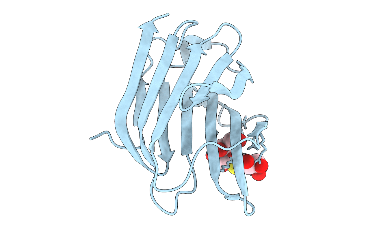 4JC1 image