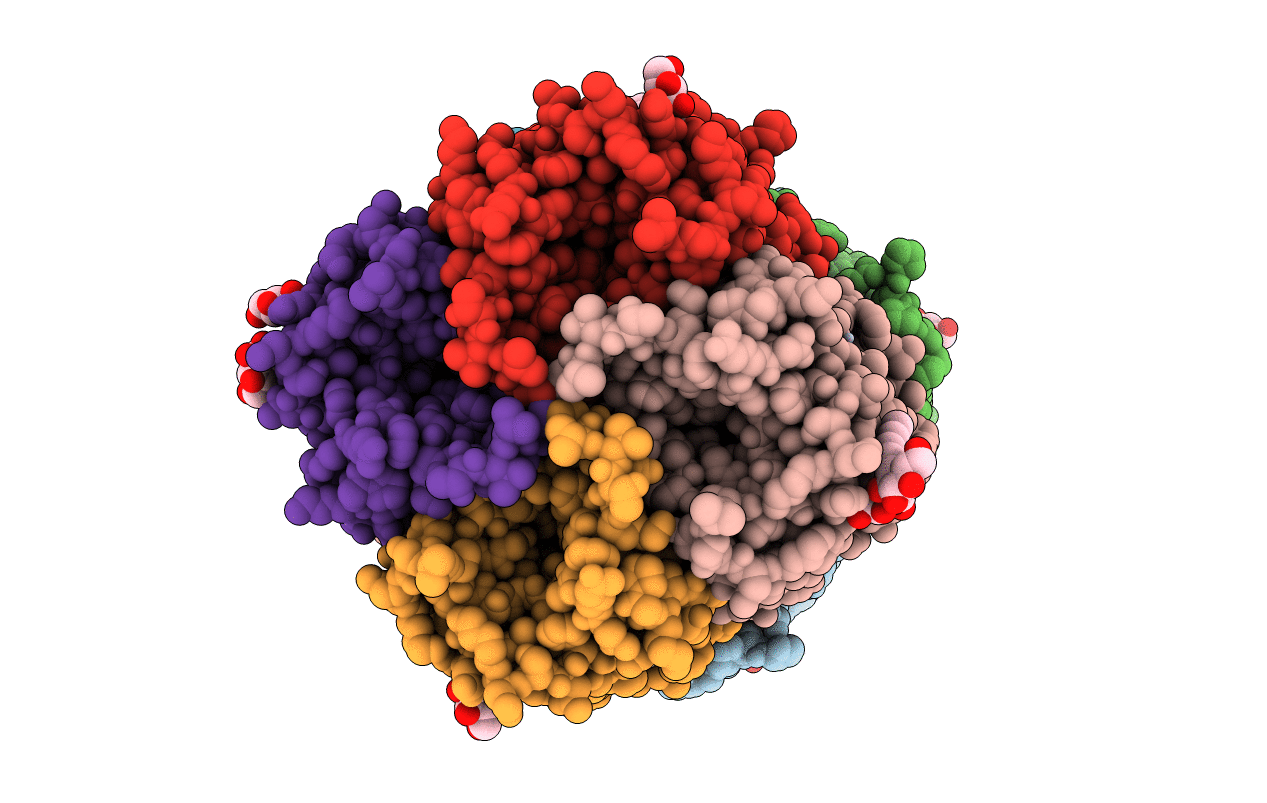 4JC6 image