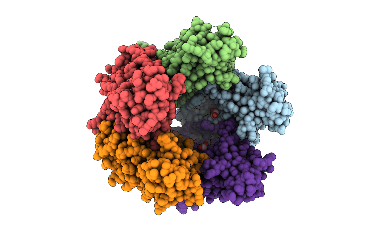 4JCD image