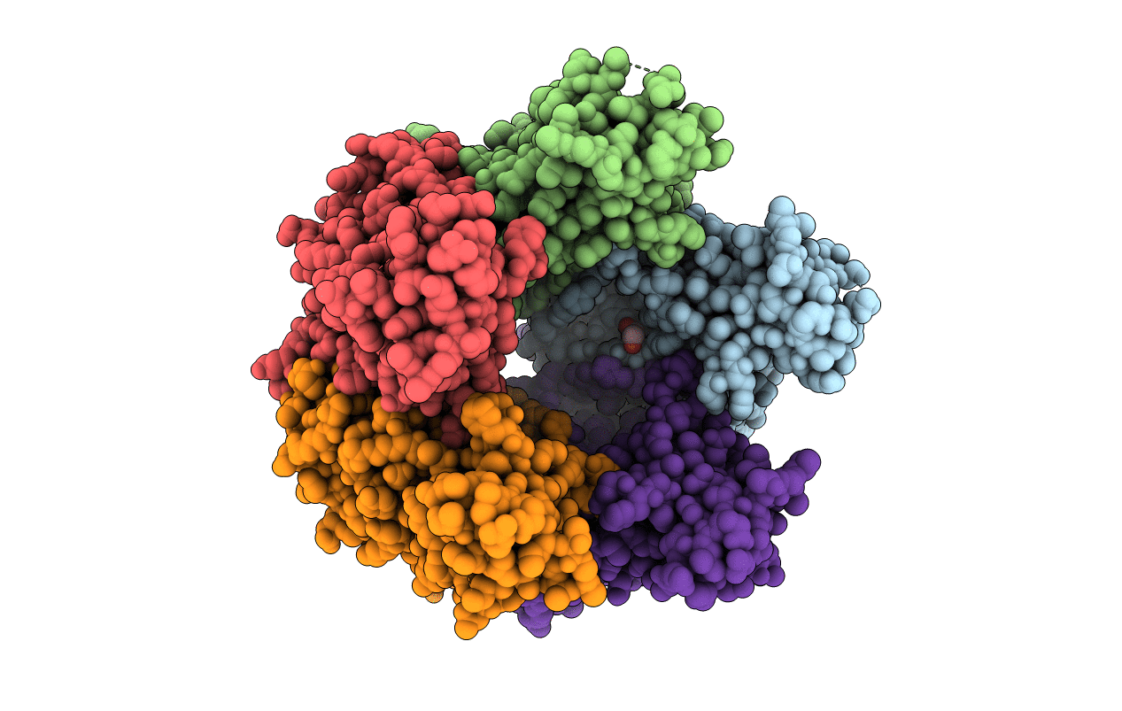 4JCF image