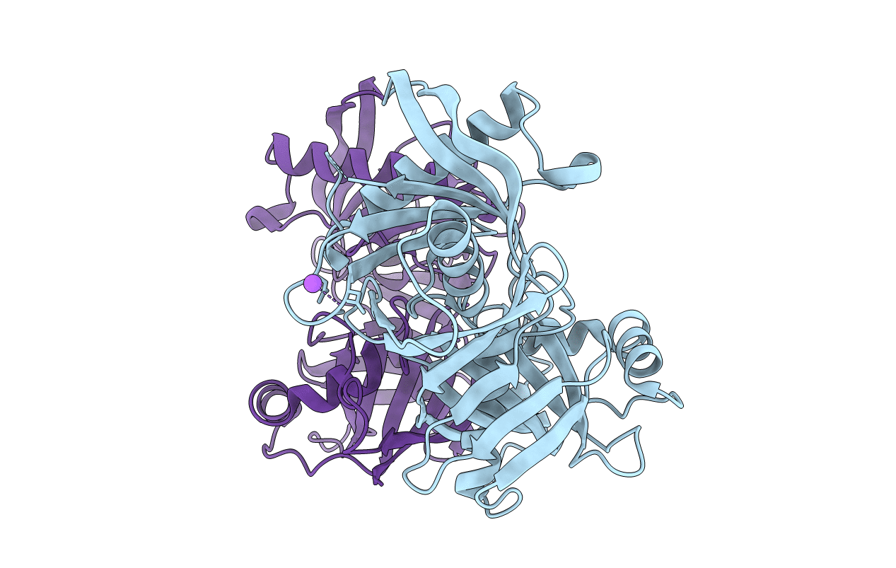 4JCI image