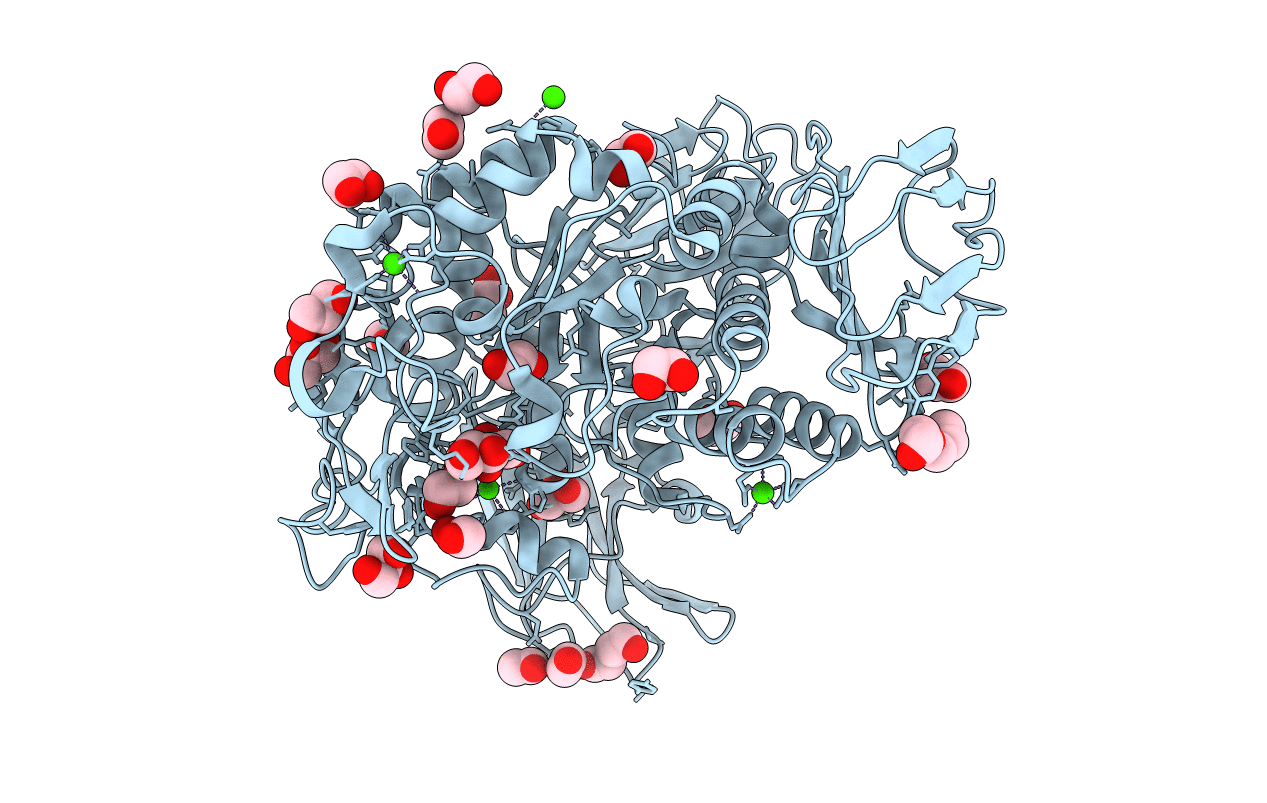 4JCL image