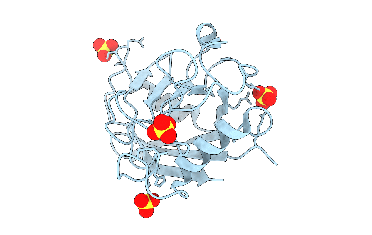 4JCP image