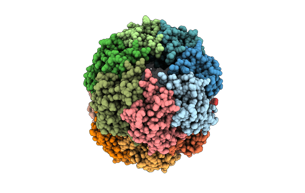4JCR image
