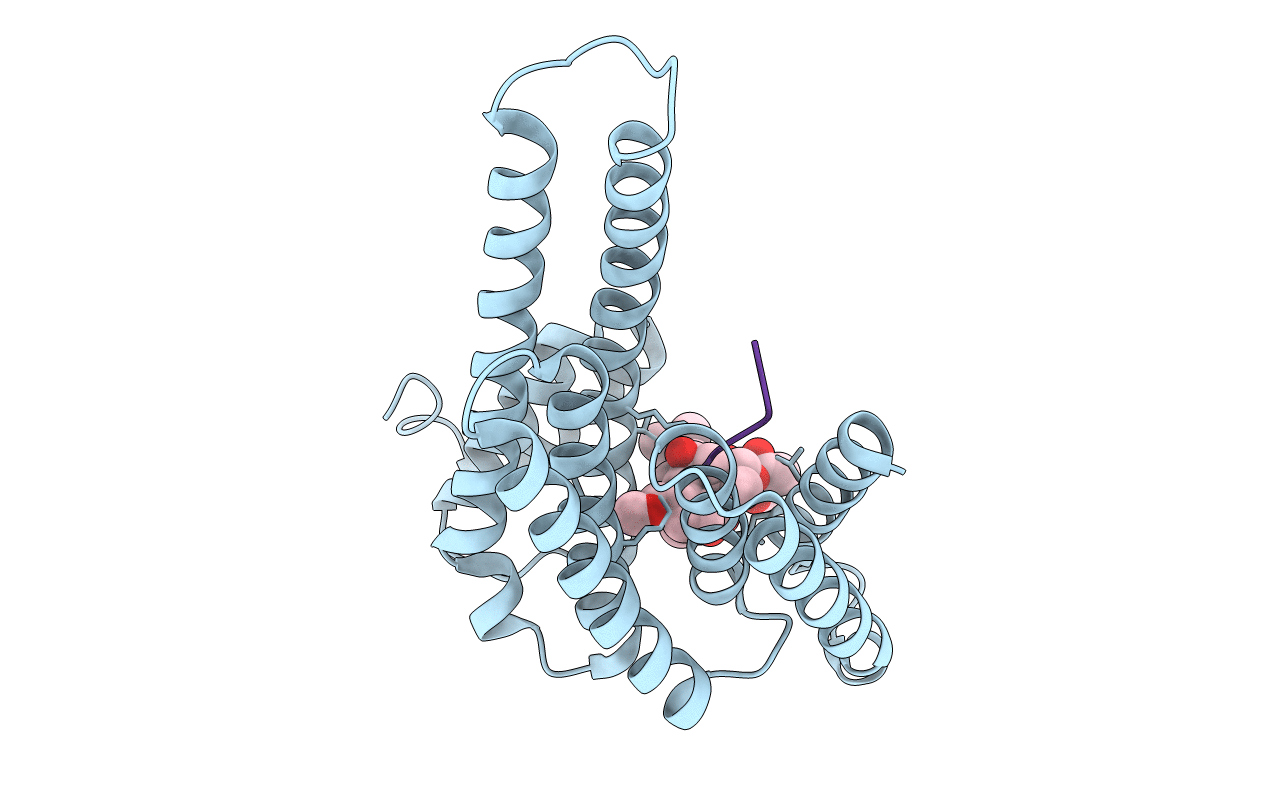4JDD image