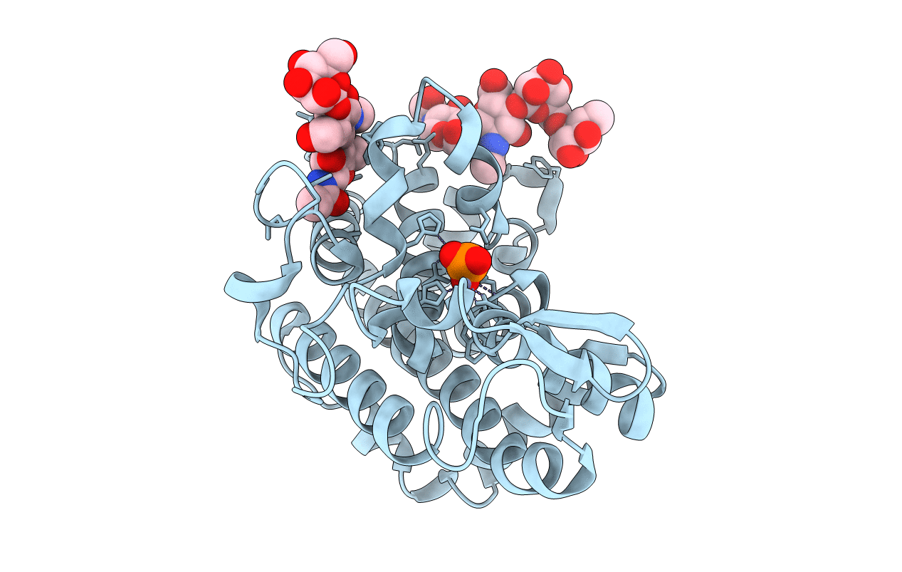 4JDG image