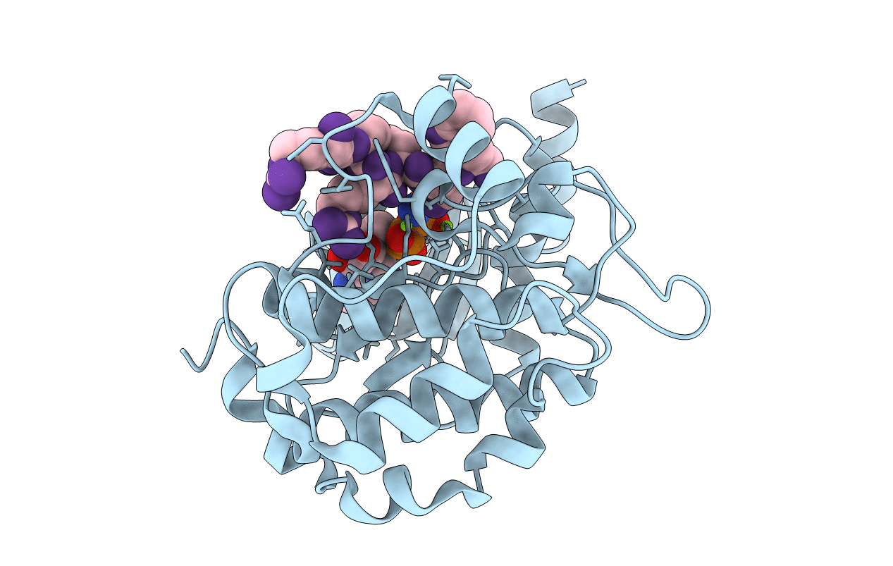 4JDI image
