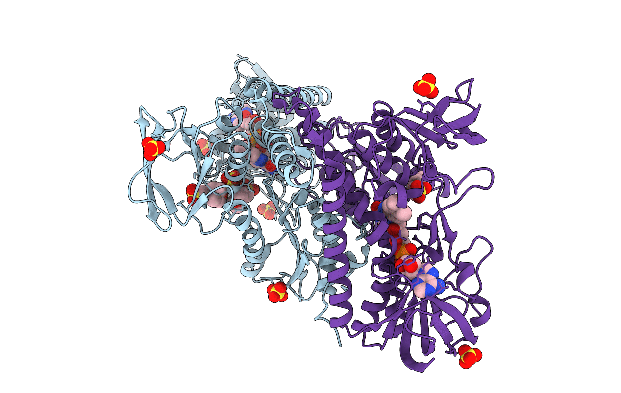 4JDR image
