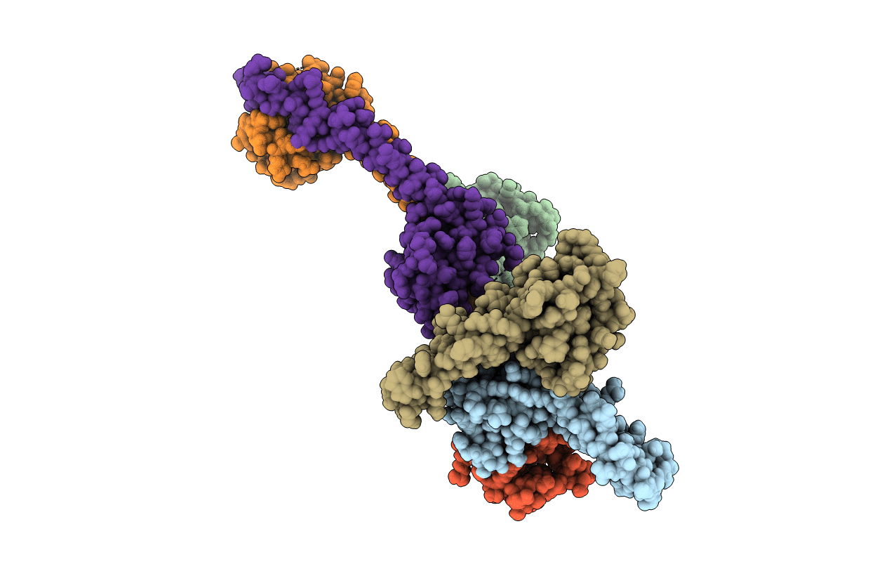 4JDX image