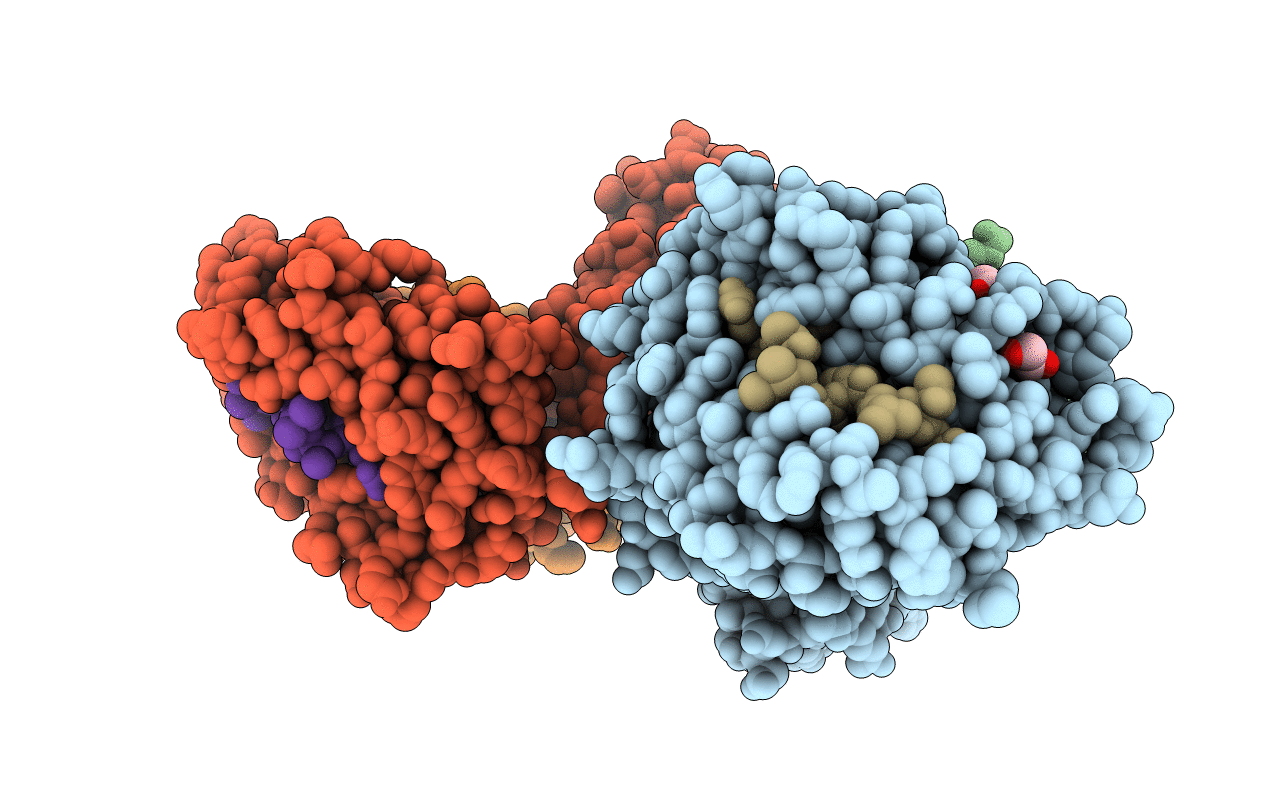 4JFP image