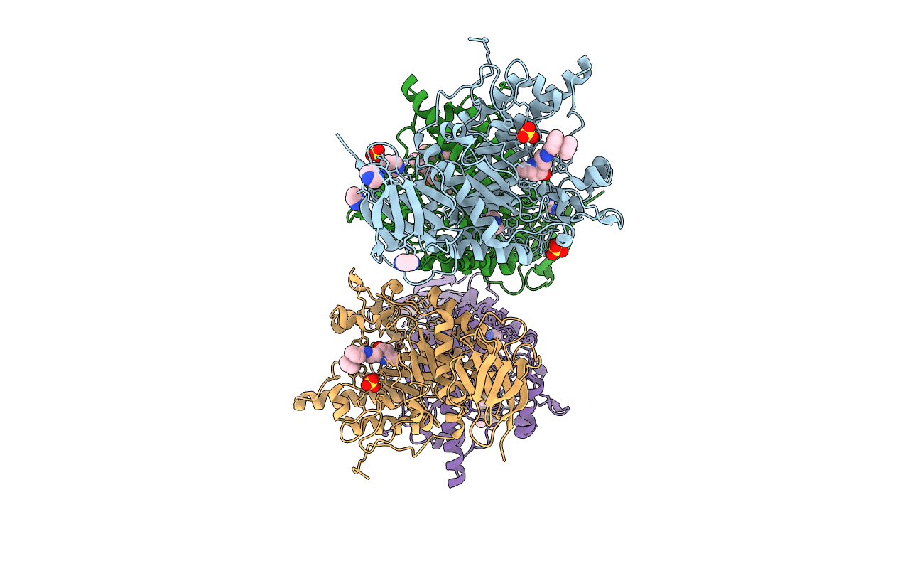 4JFV image