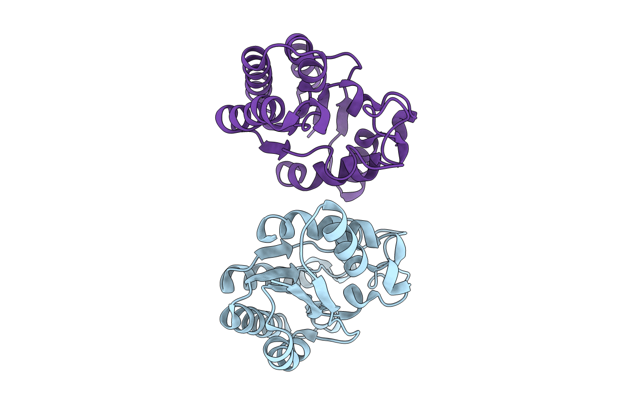 4JGG image