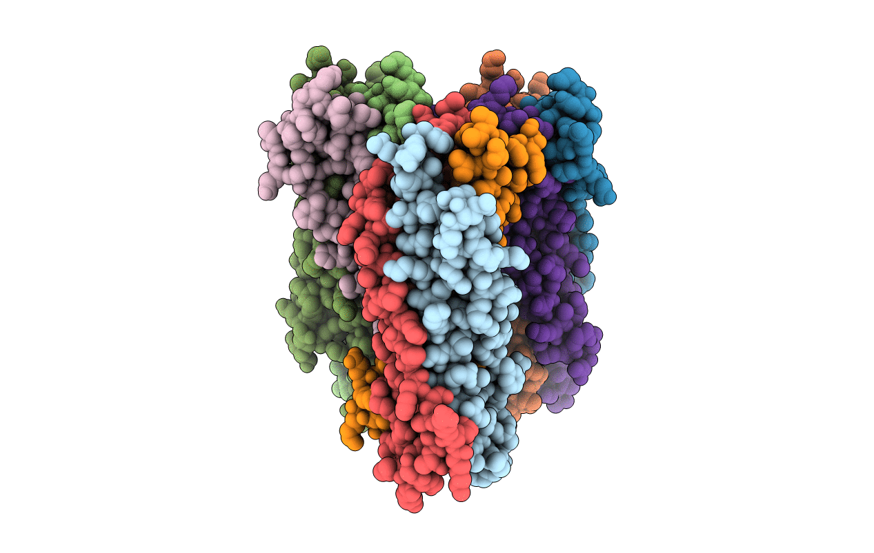 4JGS image