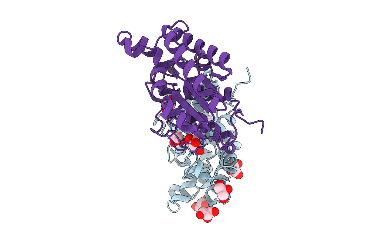 4JHL image
