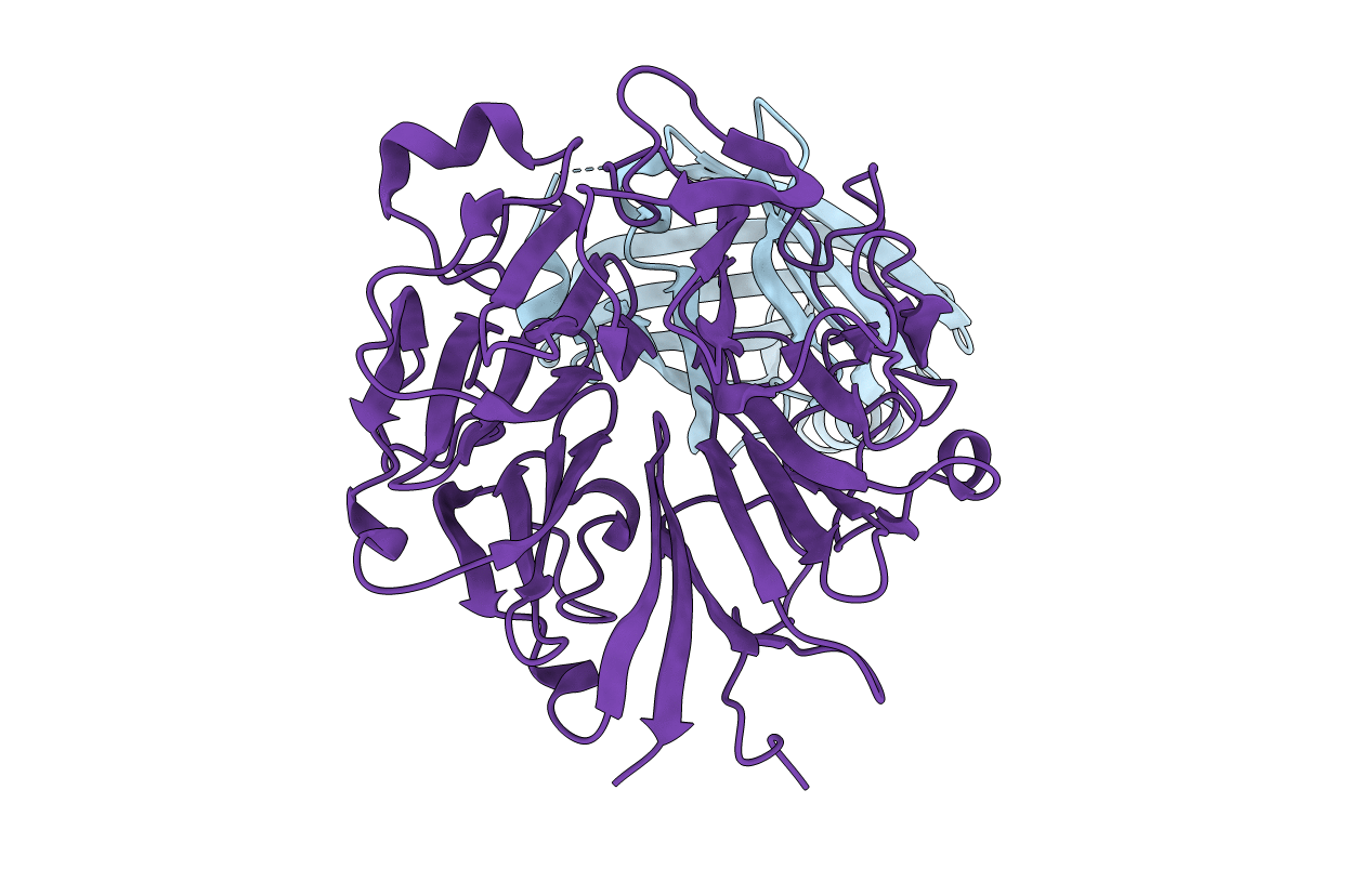 4JHP image