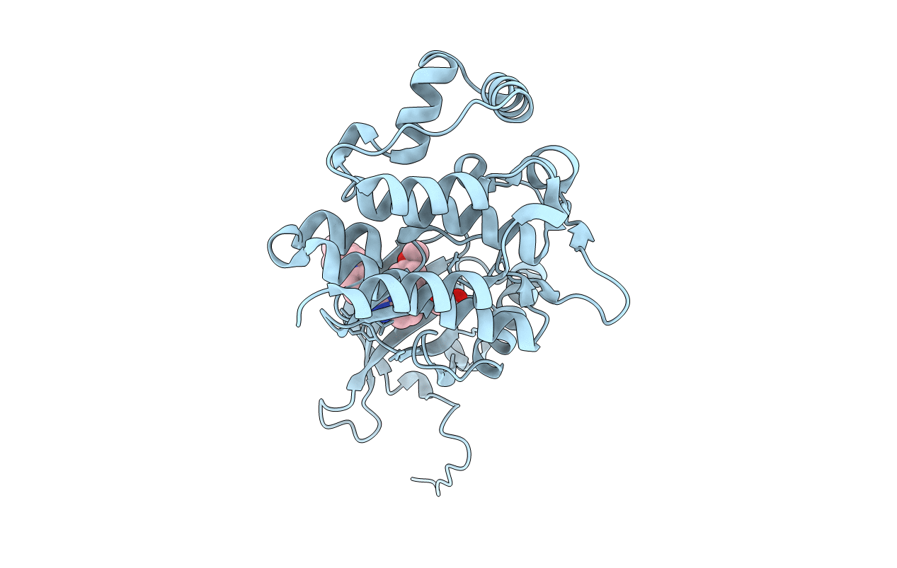4JIA image