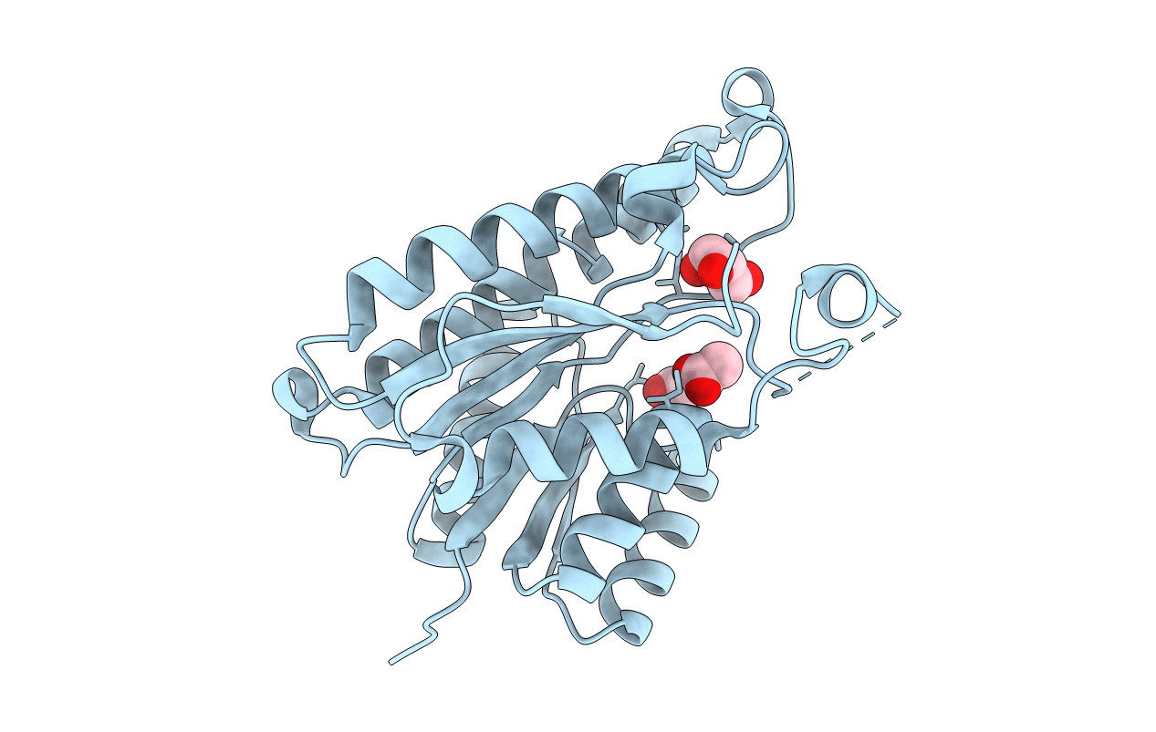 4JIG image