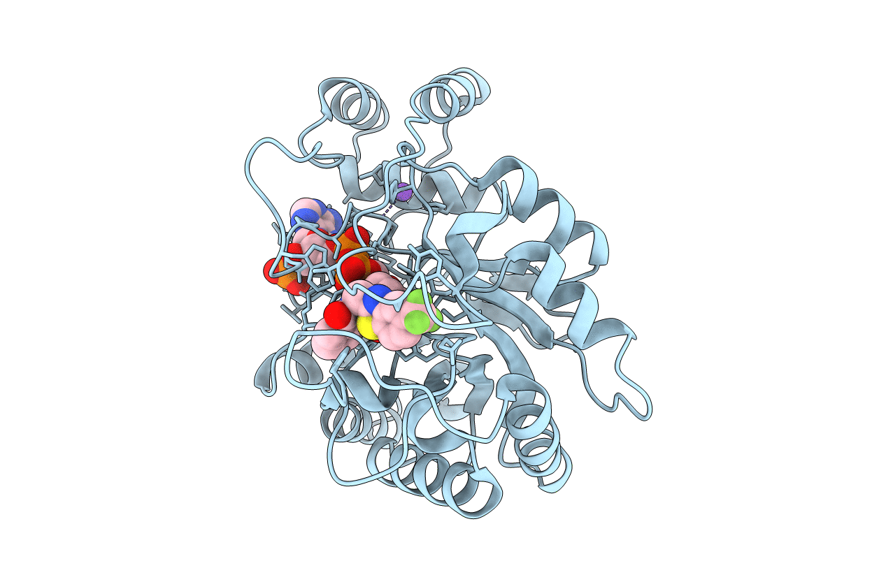 4JII image