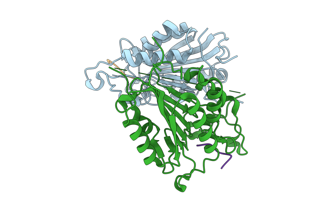 4JJ8 image