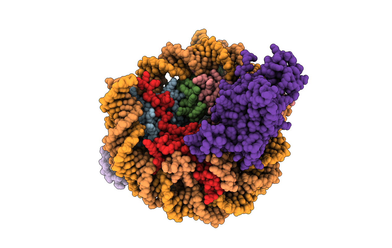 4JJN image