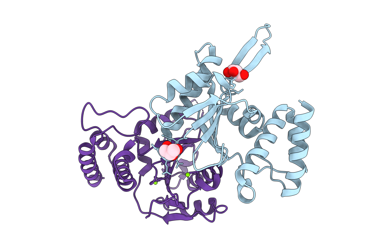 4JKC image